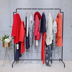 愛莉緹納 一柯錦繡女裝品牌折扣店的魅力探析——以杭州女裝與鞋帽零售為例